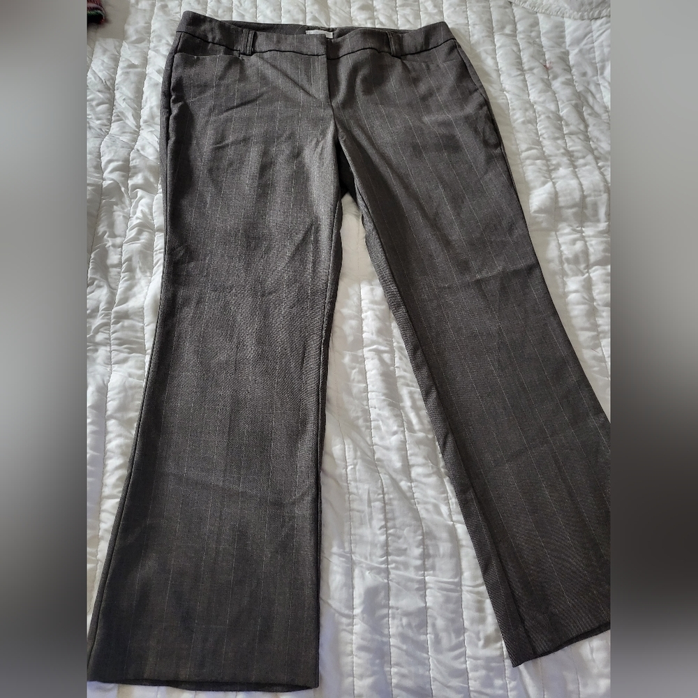Dress Pants